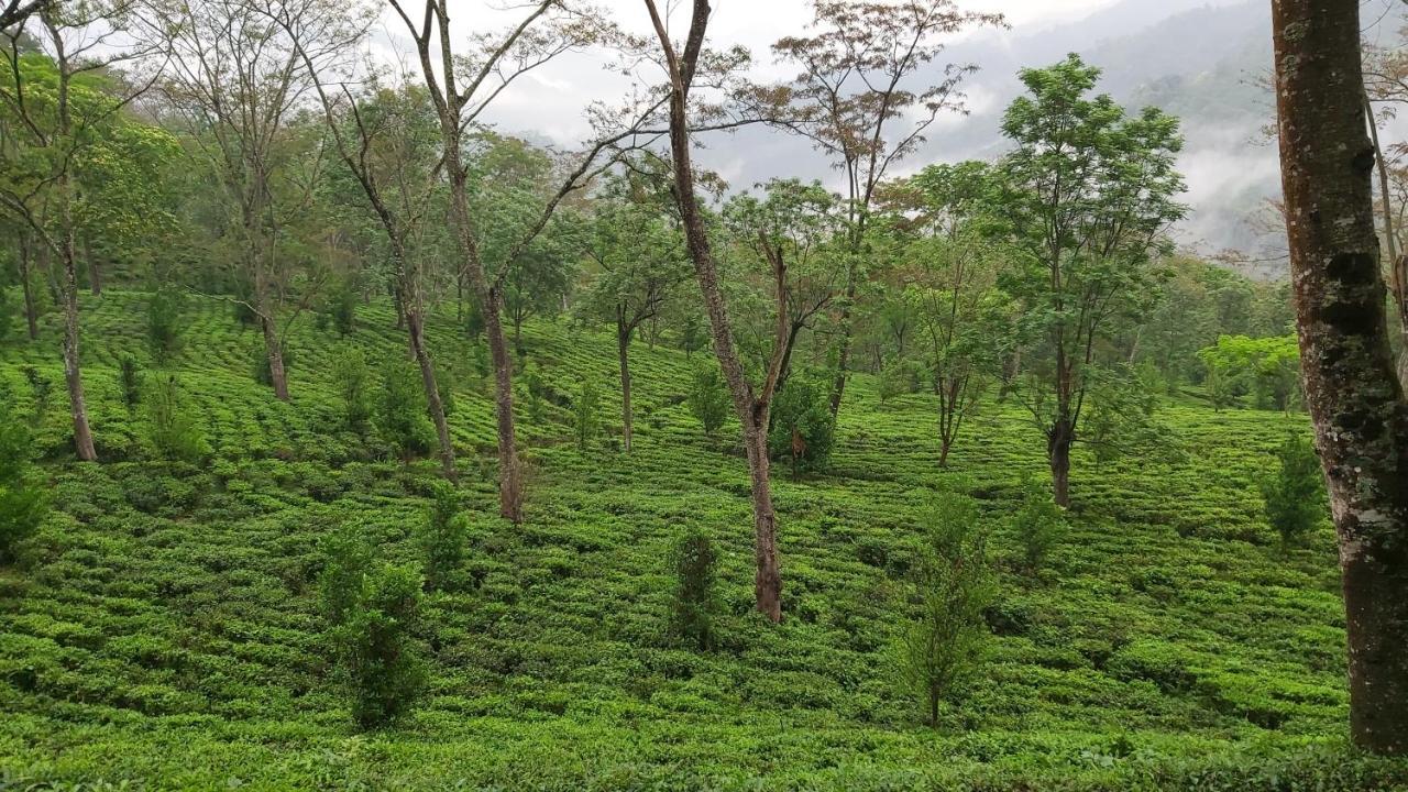 Eviana Homestay Darjeeling  Exterior foto